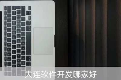 大連軟件開發哪家公司值得信賴？深度剖析優質軟件公司選擇指南
